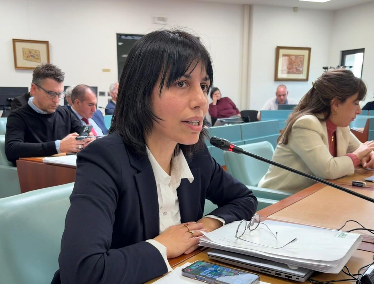 Ancarani Commissione IV